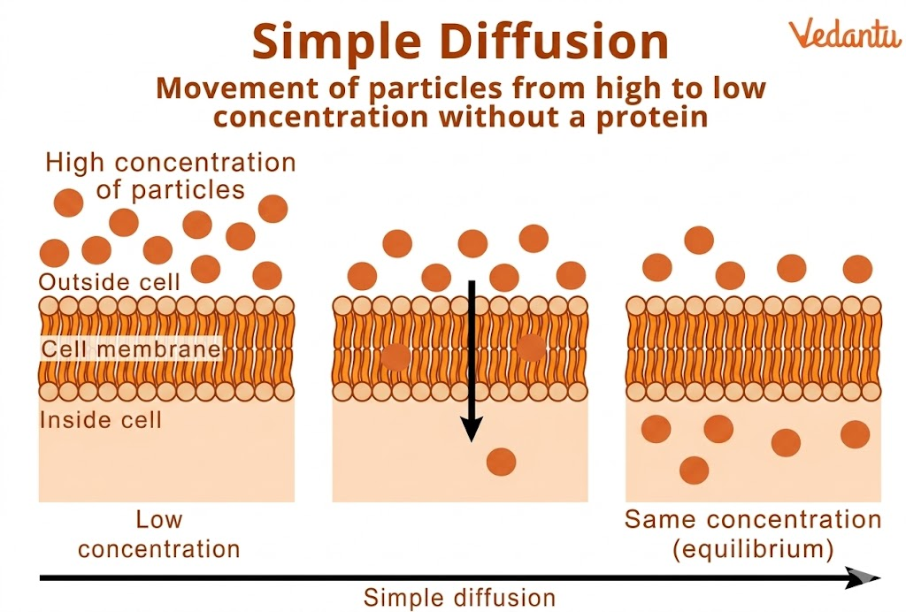 simple diffusion diagram