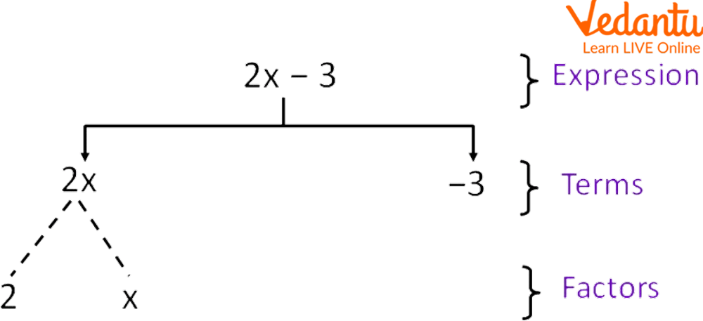 Terms and Factors of an Expression