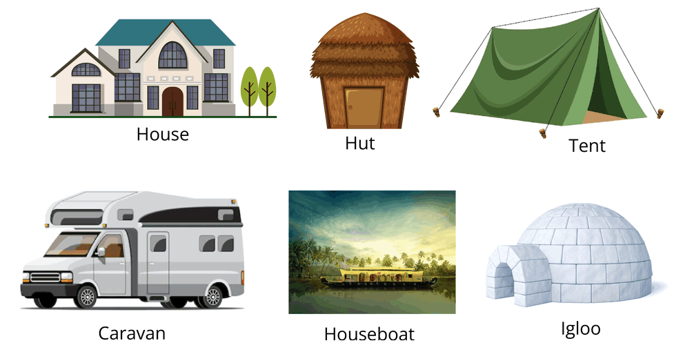 Types of Shelter