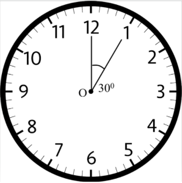Clock with center O with minute hand length 14 cm