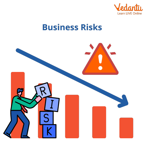 Business Risk