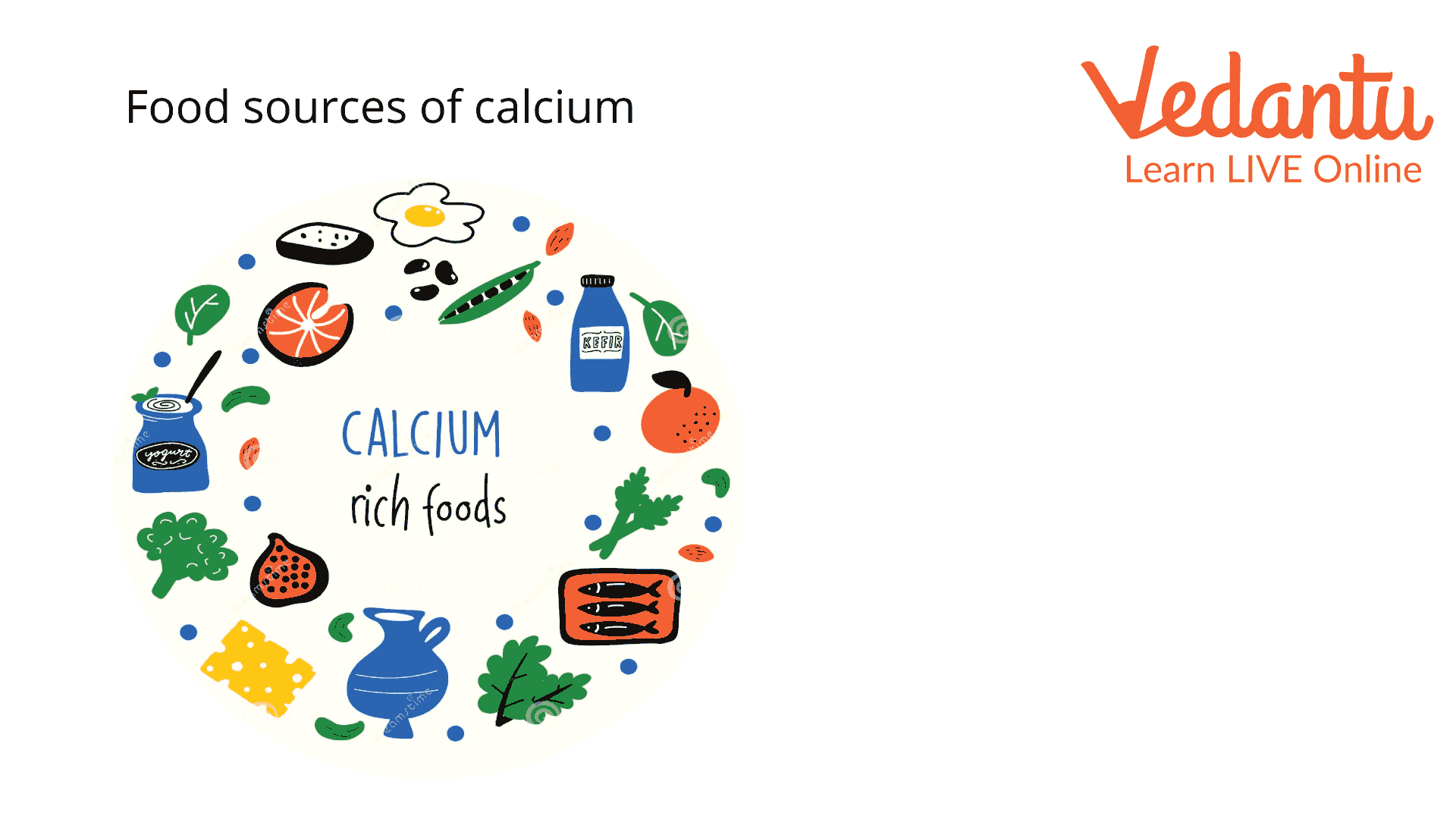 Food Source of Calcium