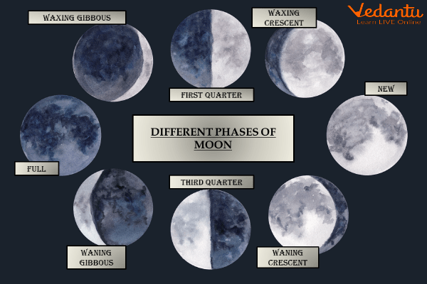 Phases of The Moon