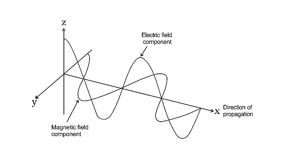 Electromagnetic Wave Graph