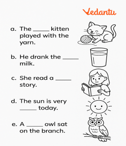 1. Fill in the blanks with the correct adjective in each sentence