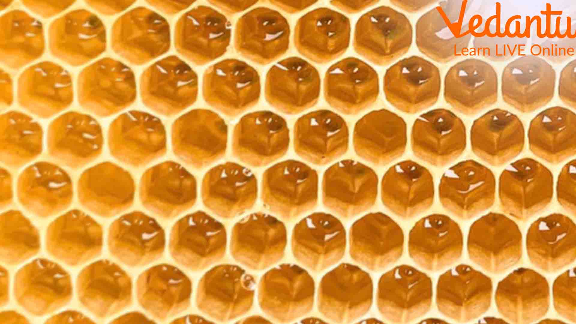 The Honeycomb Structure
