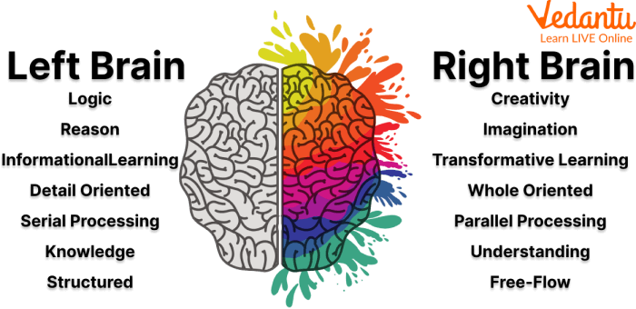 Right and Left Brain Explanation