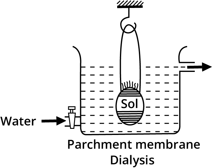 Surface Chemistry Class 12 Notes CBSE Chemistry Chapter 5 [PDF]