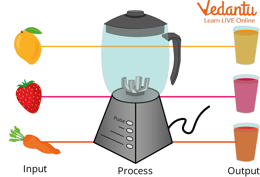 A real life example of Input - Process - Output