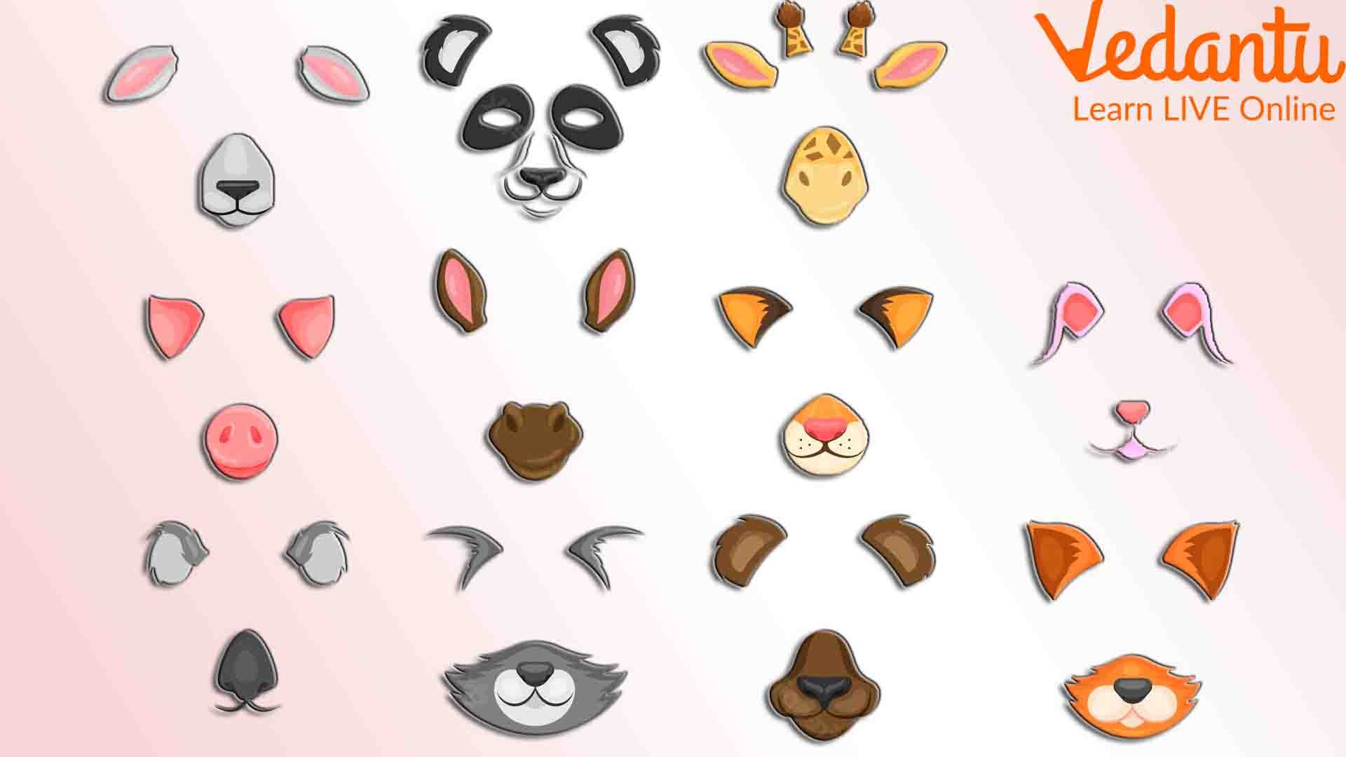 Different Animal Ear Shapes