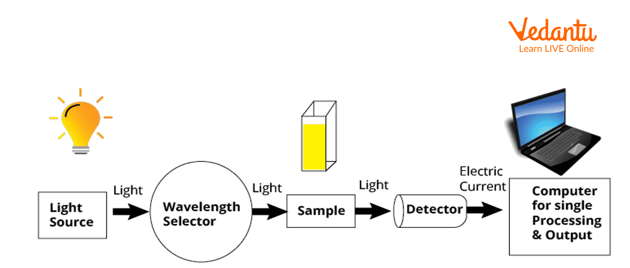 Representation of Working of the UV-Vis Spectrophotometry