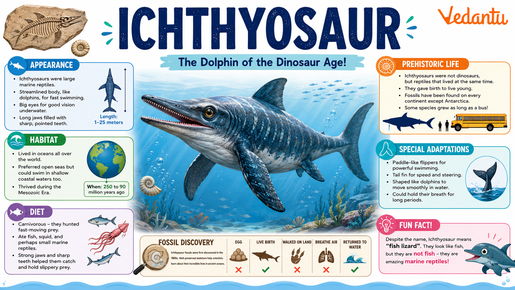 Ichthyosaur prehistoric marine reptile