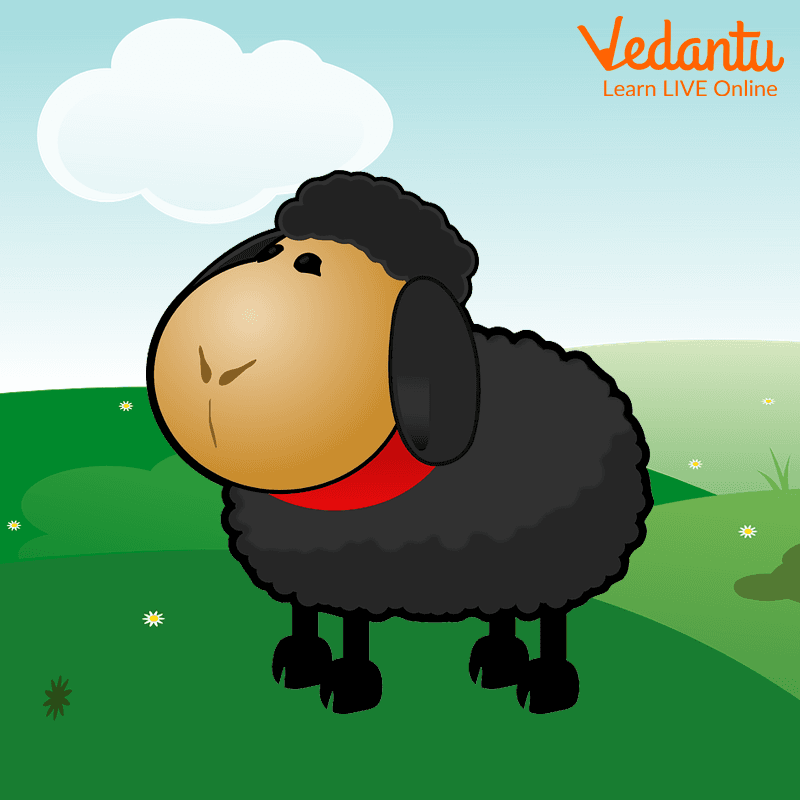 Baa Baa Black Sheep