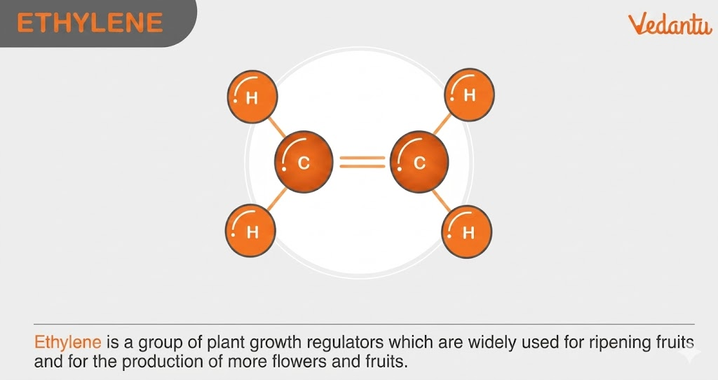 Ethylene (Unique Gaseous Hormone)