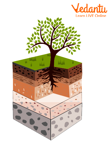3 types of soil erosion
