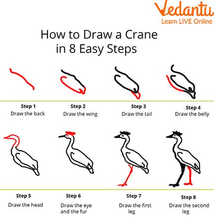 Steps to Draw a Crane for Children