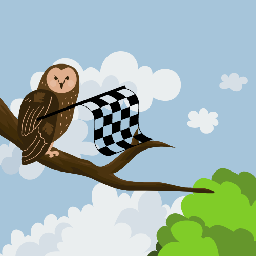 Owl begins the Race