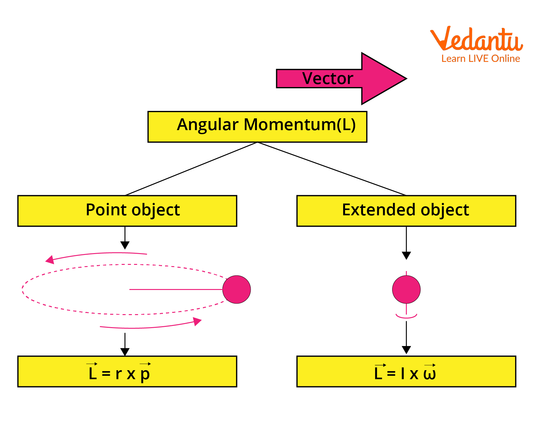 Angular Momentum of Point and Extended Object
