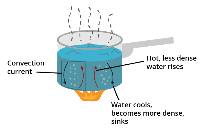 Phenomenon of Convection