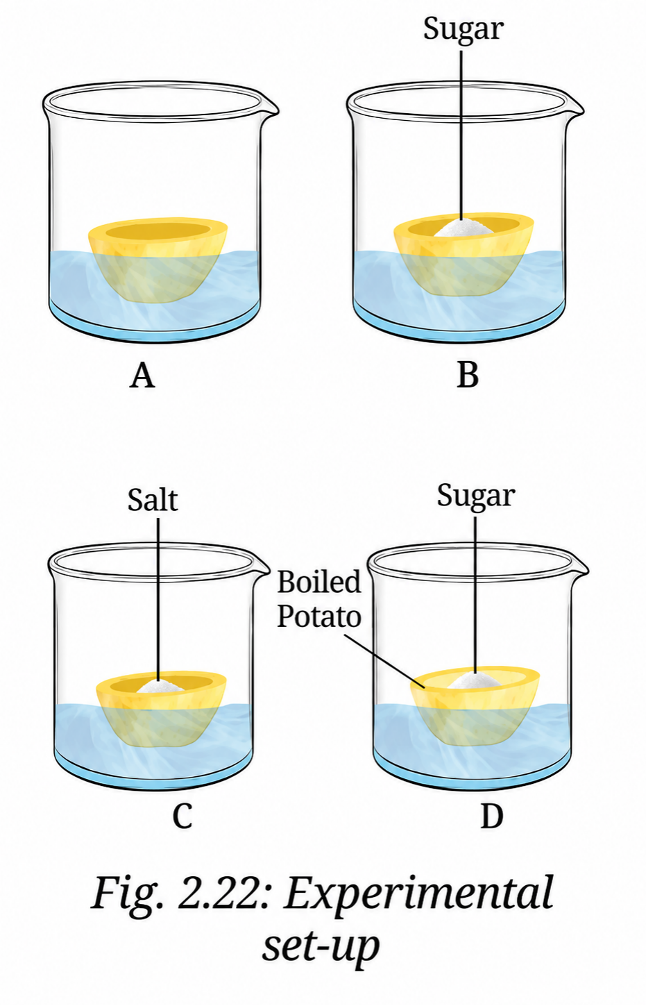 Take four peeled potato halves and scoop each one out to make potato cups.png