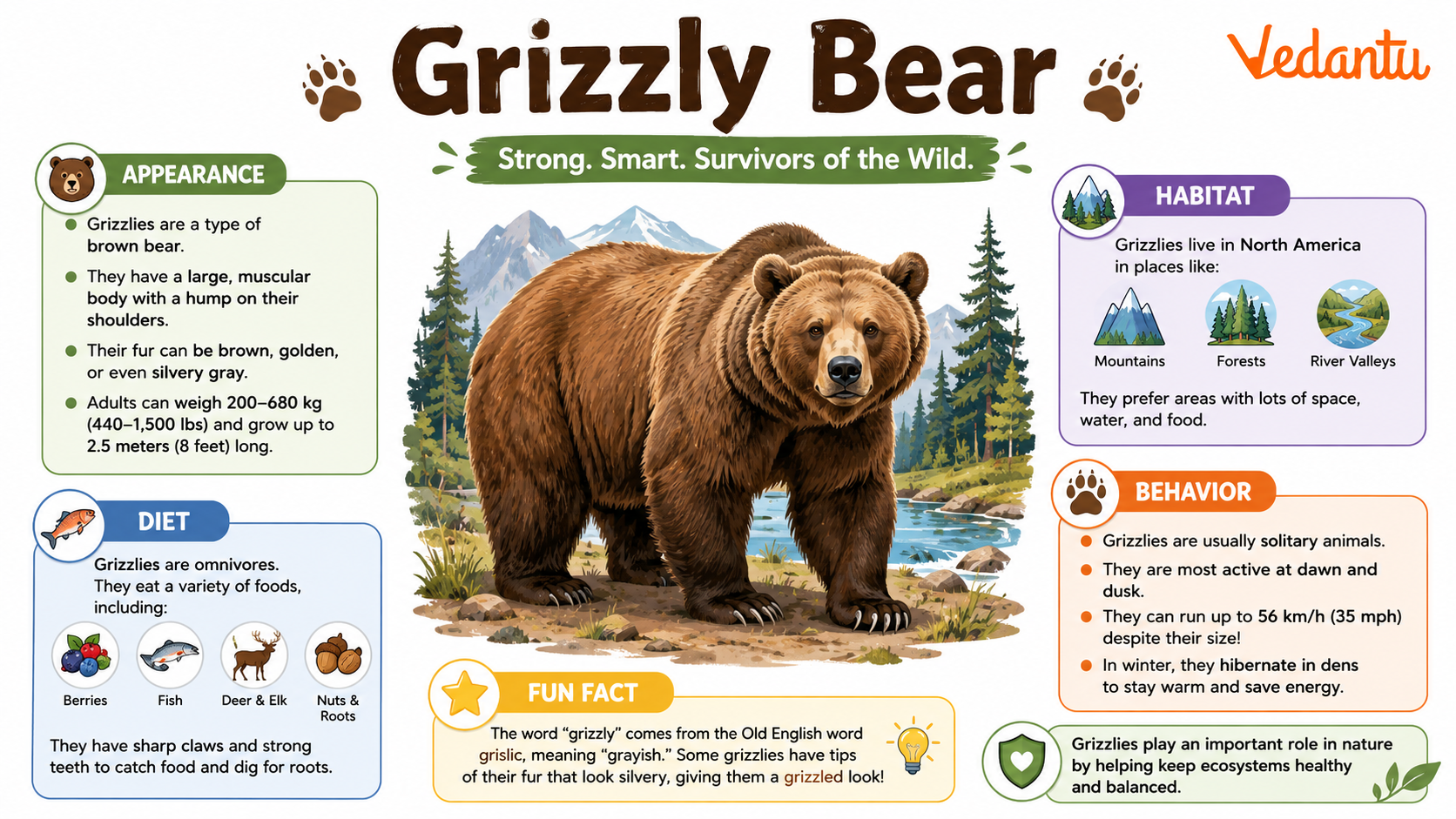 Grizzly Bear in natural habitat