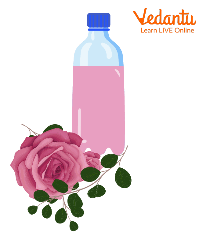 Rose water prepared using evaporation, and condensation processes
