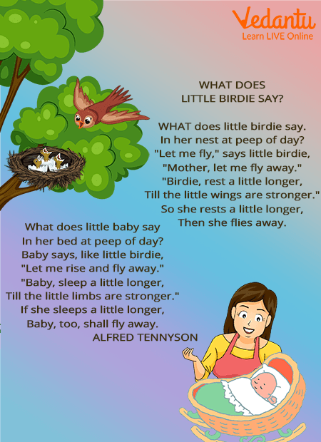 Read English Poems on Birds for Kids - Popular Poems for Children