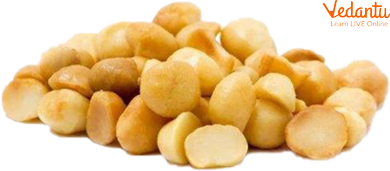 Macadamia Nuts