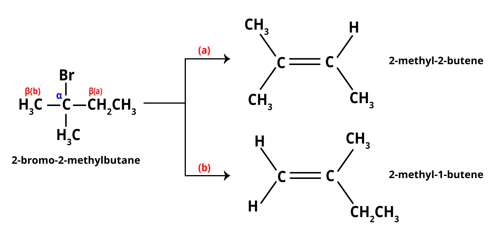 E2 reaction examples