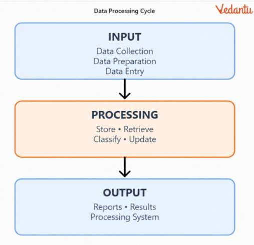 three main stages in the data processing cycle