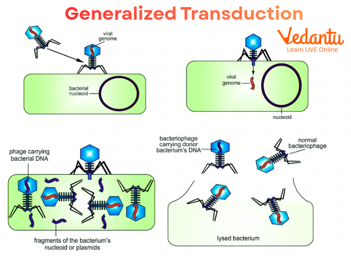 Generalized Transduction