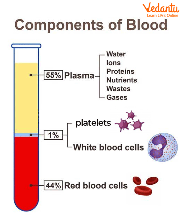 Components of Blood