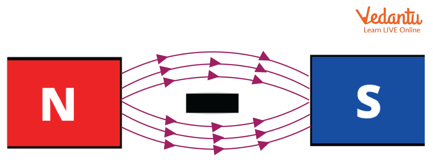 A Diamagnetic Specimen Placed in an External Magnetic Field