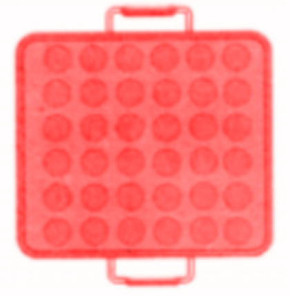 6 × 6 = 36, meaning there are 36 cupcakes.