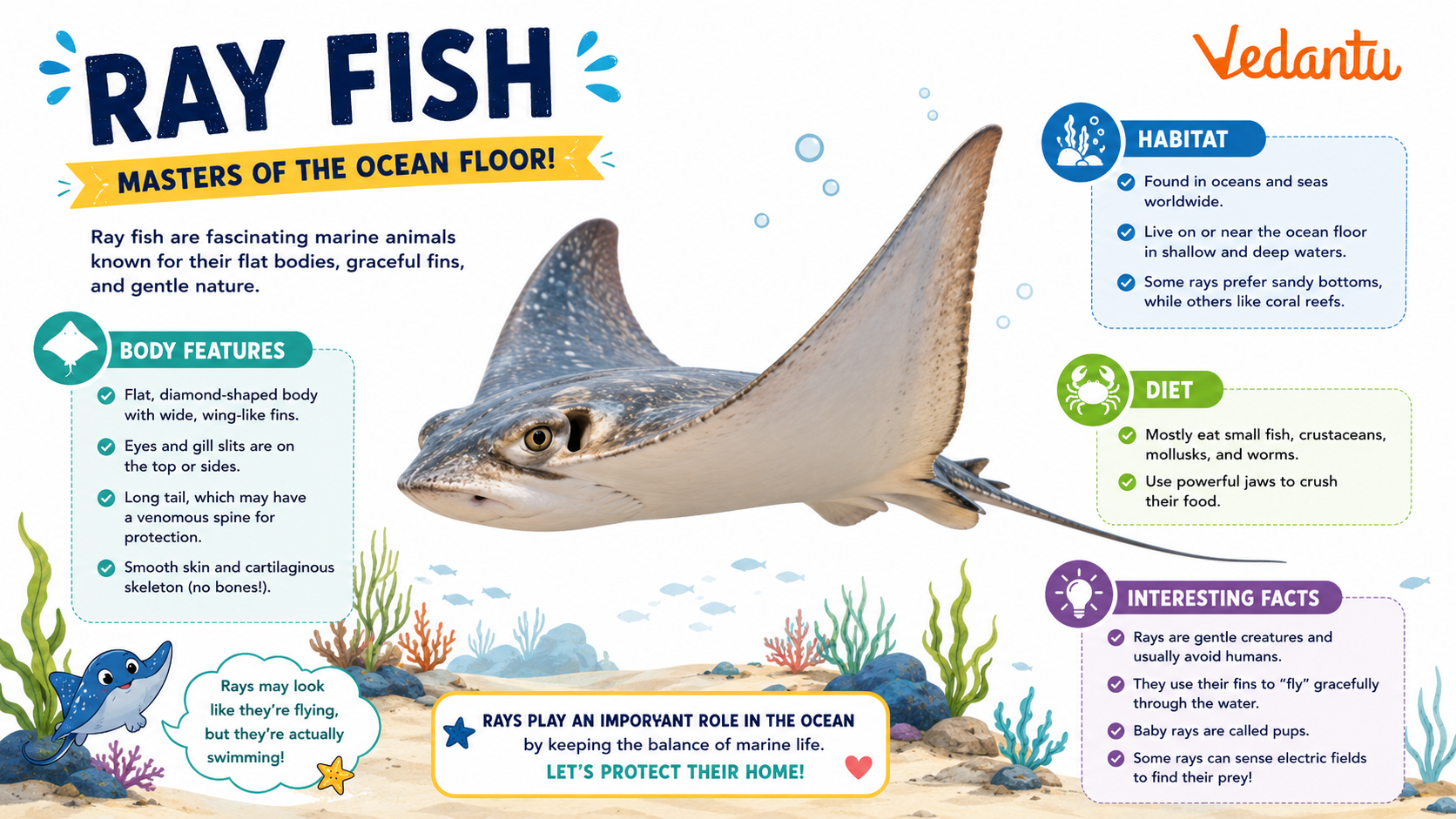 Ray Fish swimming in the ocean with wide flat body and wing-like fins