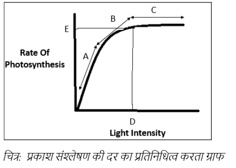 प्रकाश संश्लेषण की दर का प्रतिनिधित्व करता ग्राफ