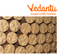 Biomass Briquettes