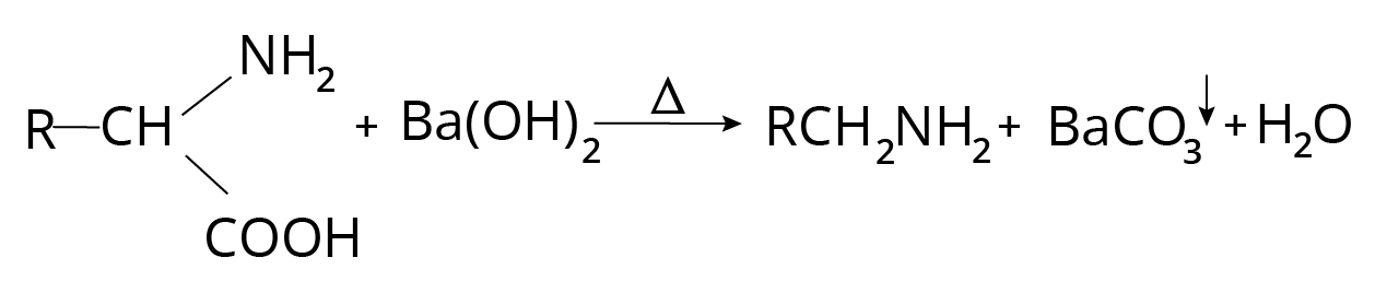 Degradation Reaction of Amino Acids