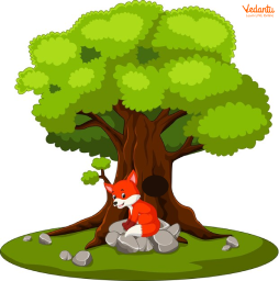 The Fox Found a Hole in a Tree
