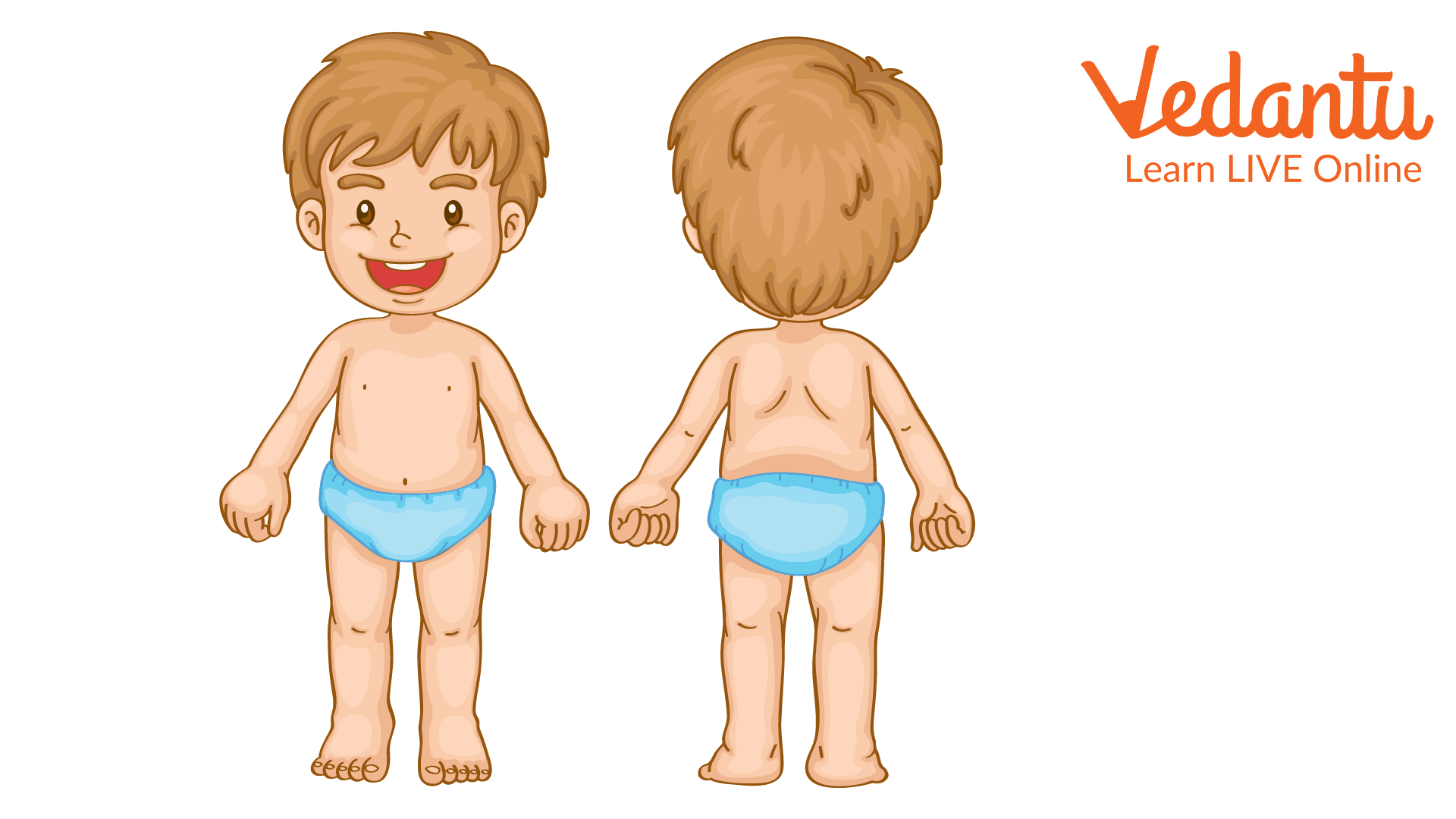Physique of a child