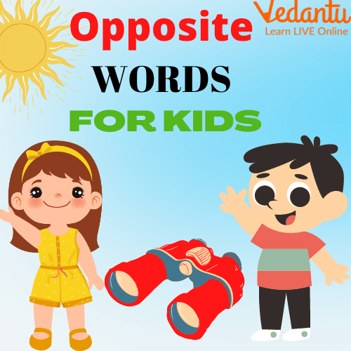 Introduction to Opposite Words for Class 3