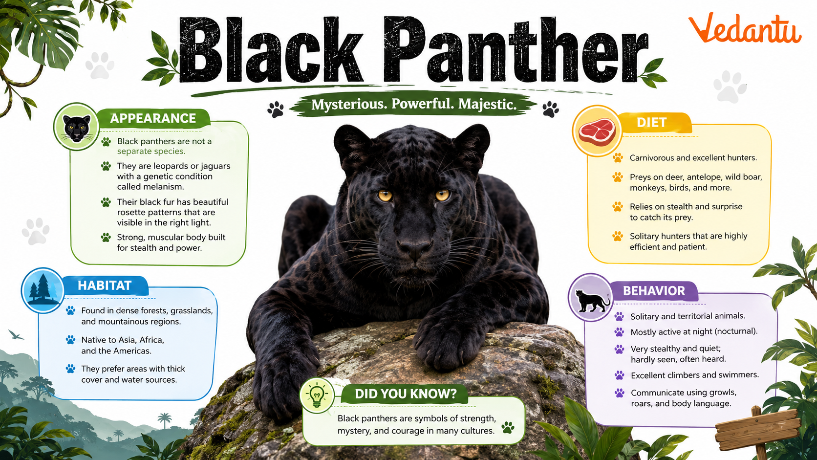 Black Panther