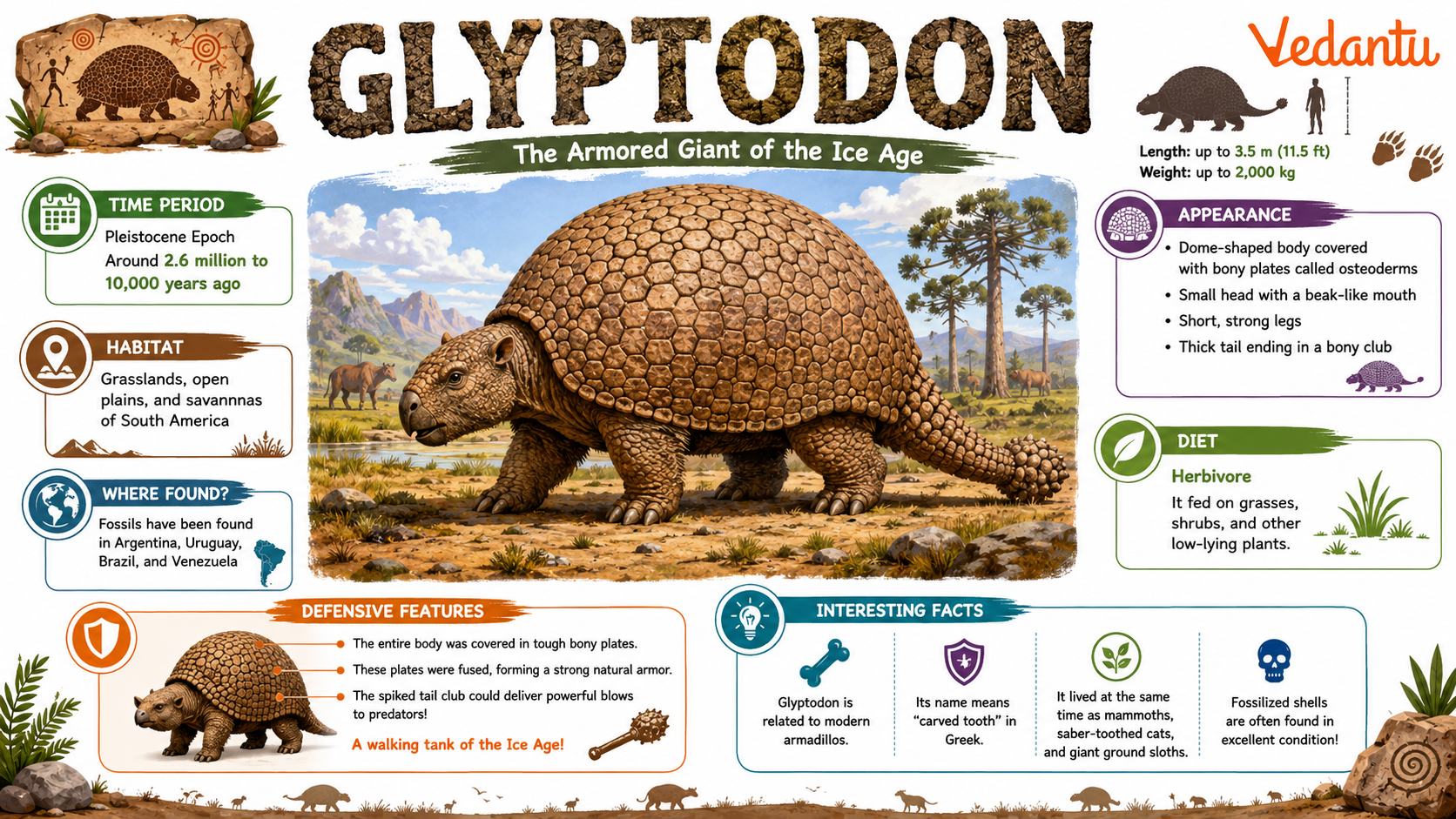 Glyptodon prehistoric armored mammal