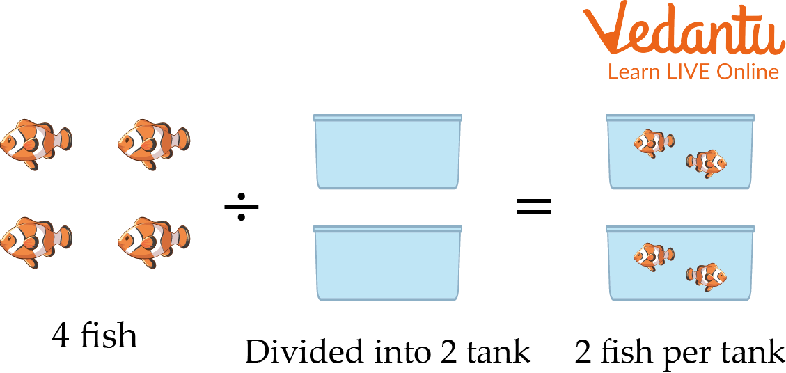 Equal Sharing Division