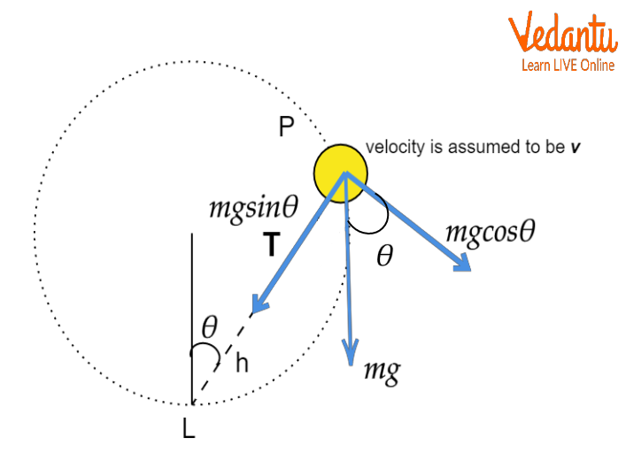 Velocity of Particle in Vertical Motion