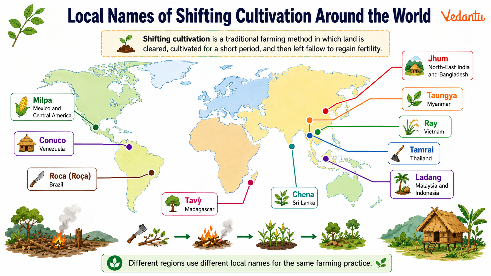 Local Names of Shifting Cultivation Around The World