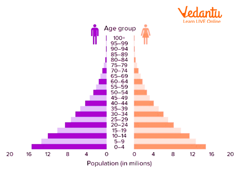 The Expansive Population Pyramid