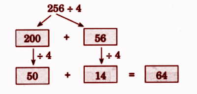 (a) 256 ÷ 4