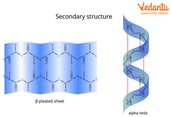 The Difference Between Alpha And Beta Sheets