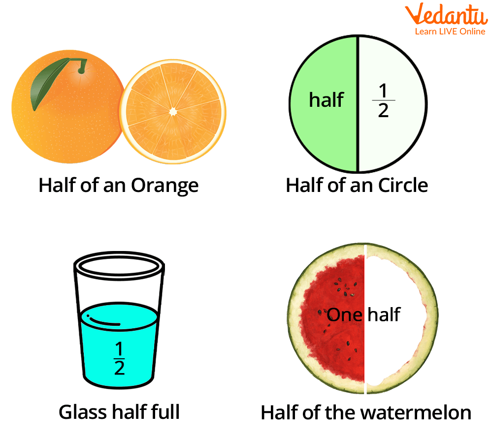 Examples of Halves in our daily life